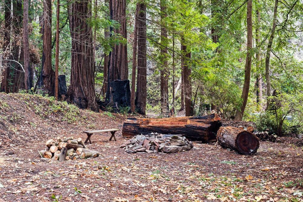Photo of Outdoor in Pescadero