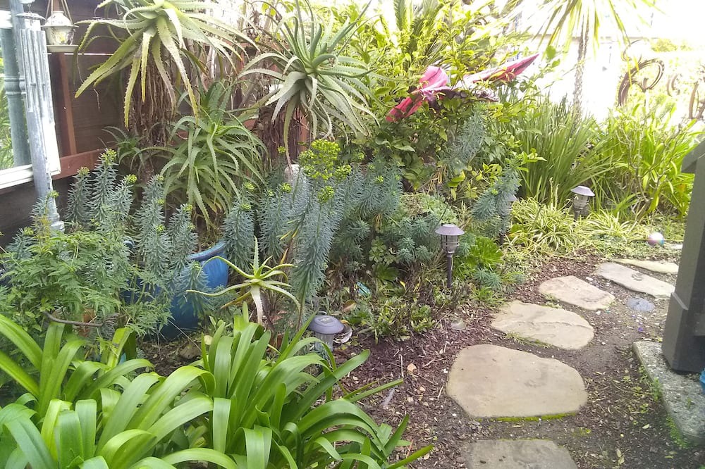 Photo of Outdoor in Aptos