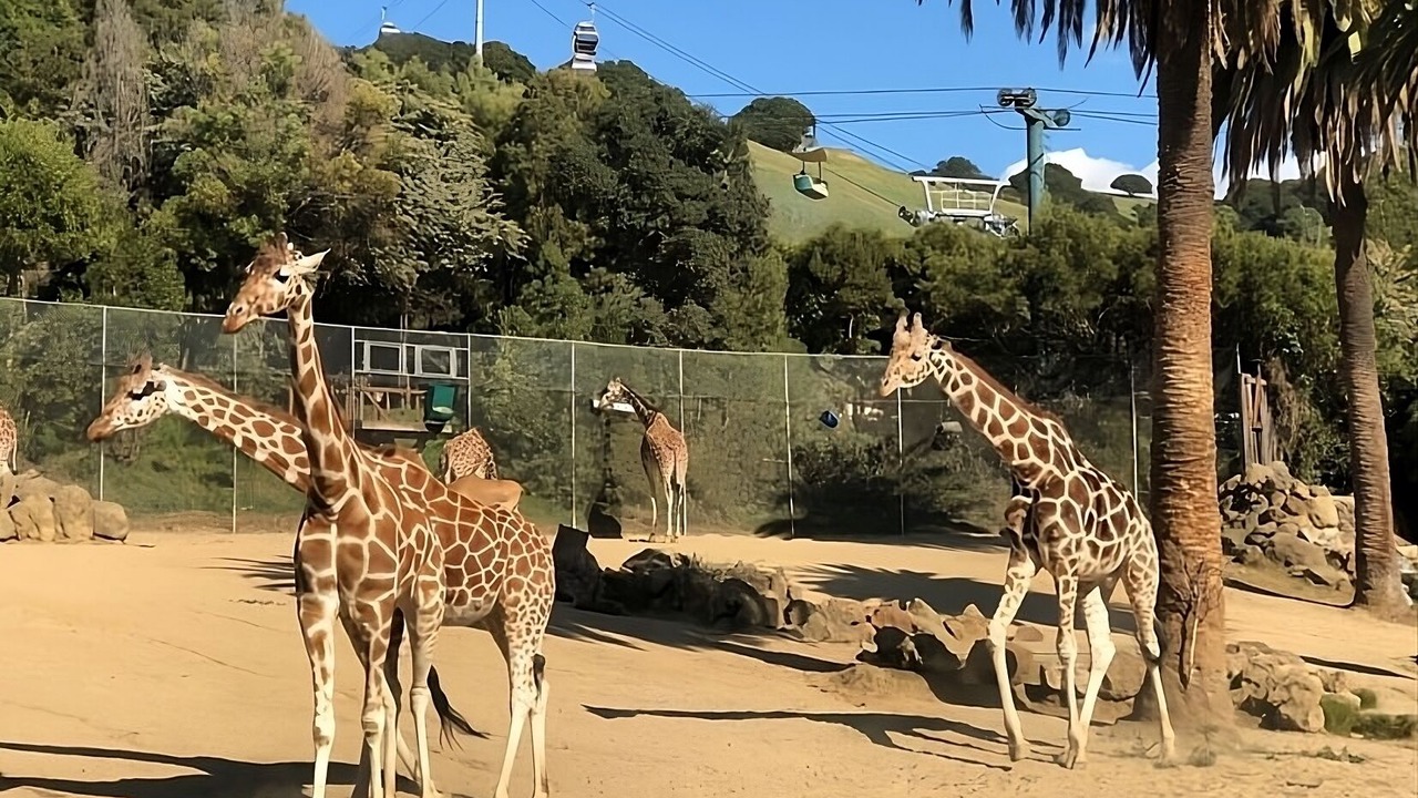 Photo of Outdoor in San Ramon