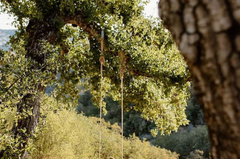 Photo of Others in Carmel Valley