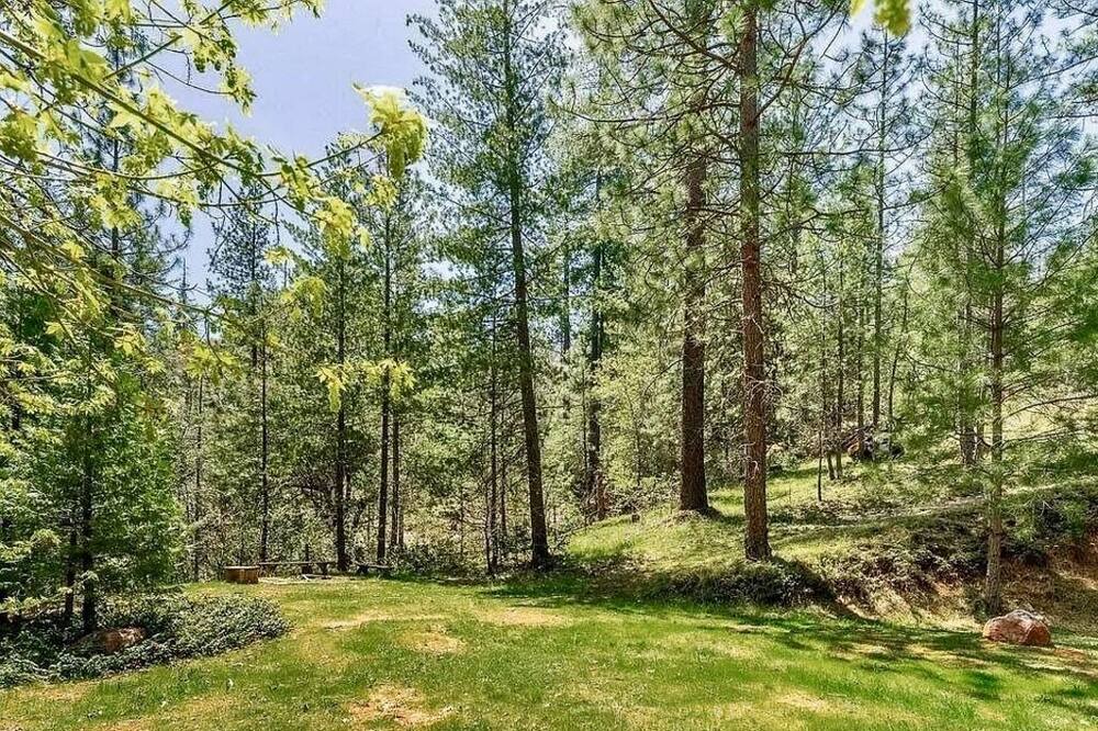 Photo of Outdoor in Groveland