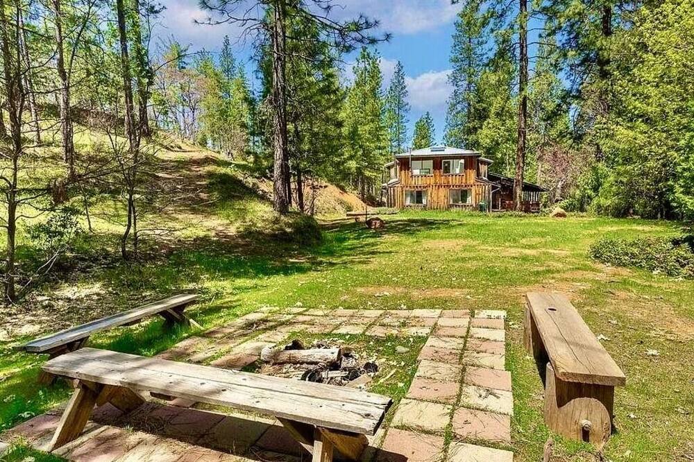 Photo of Outdoor in Groveland
