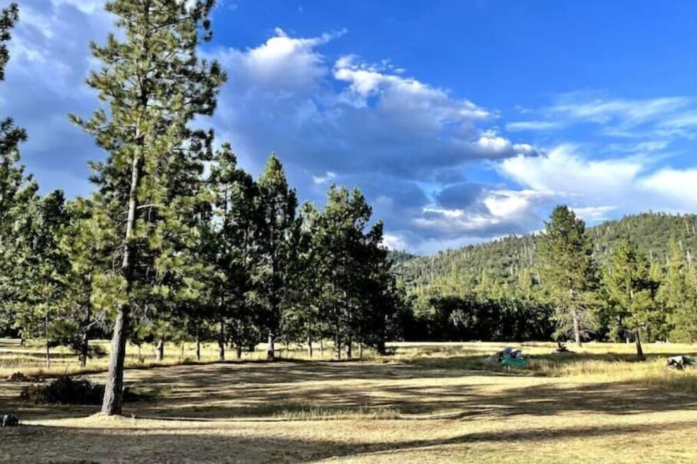 Photo of Others in North Fork