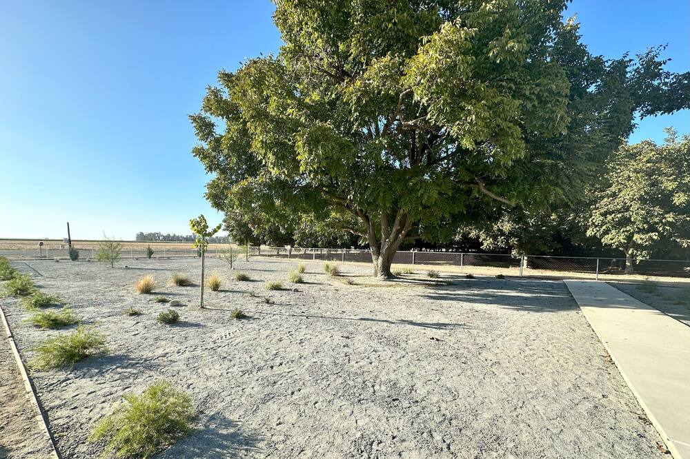 Photo of Others in Visalia