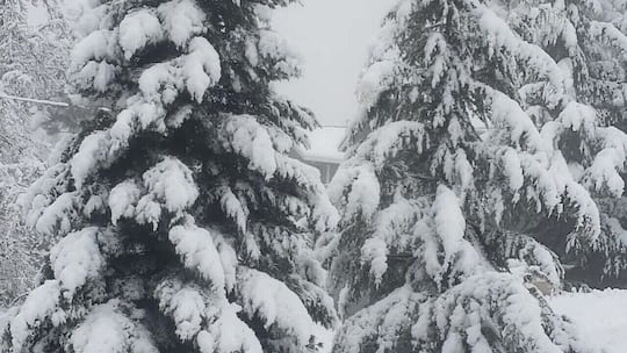 Photo of Others in Groveland
