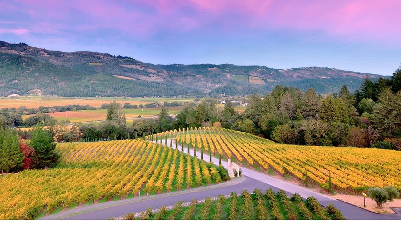 Photo of Others in Napa