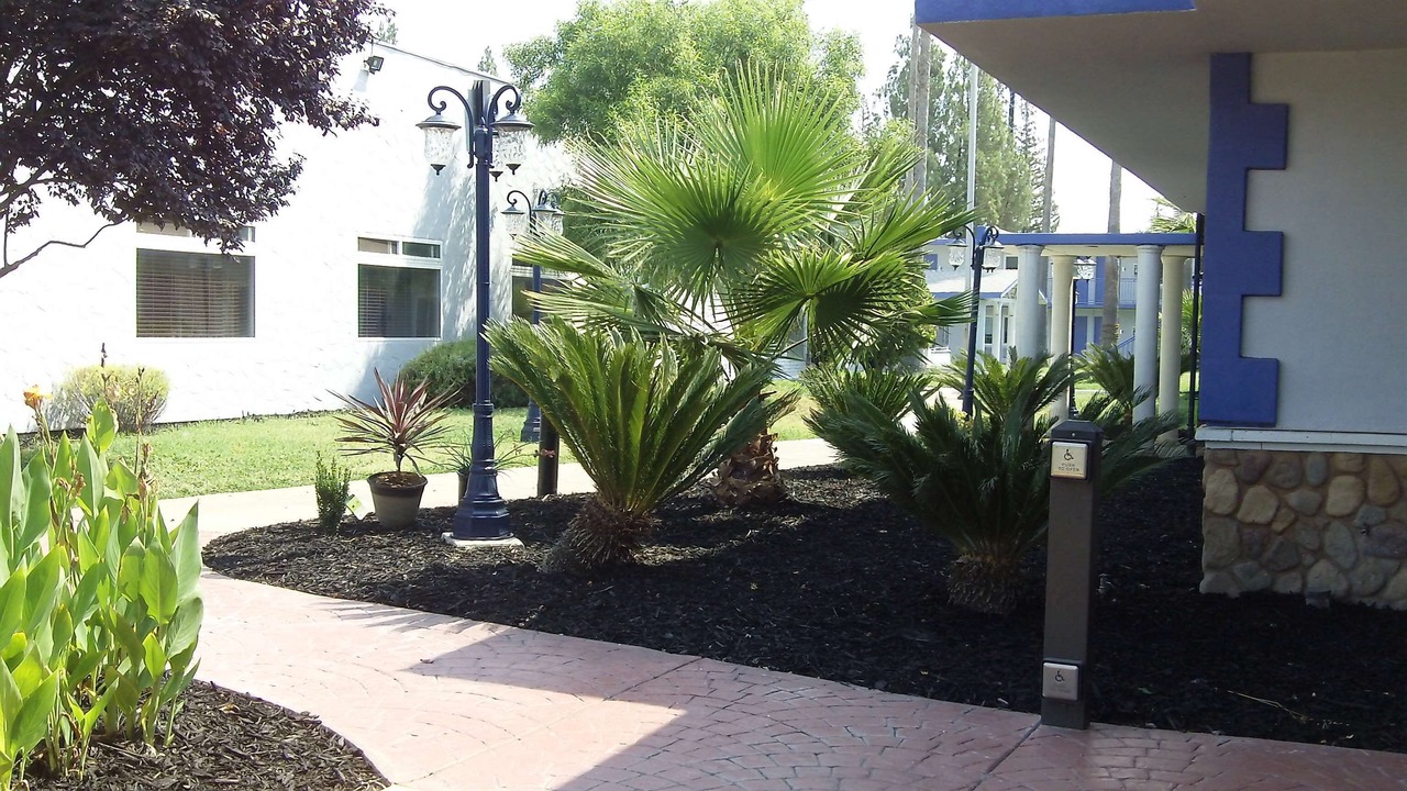 Photo of Outdoor in Woodlake