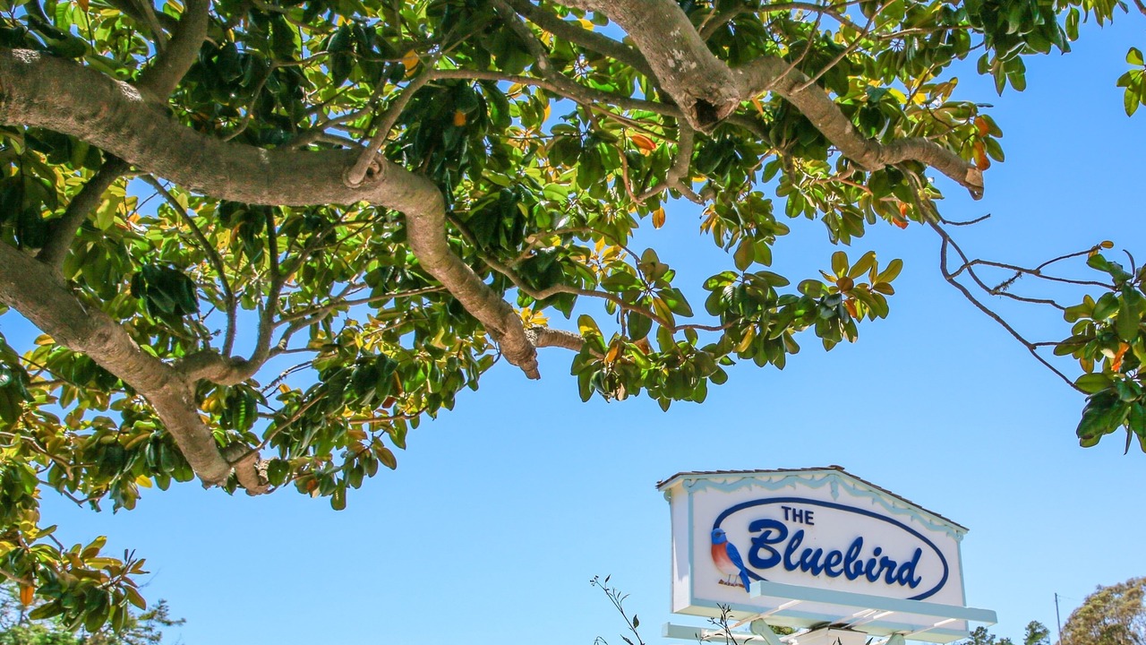 Photo of Outdoor in Cambria