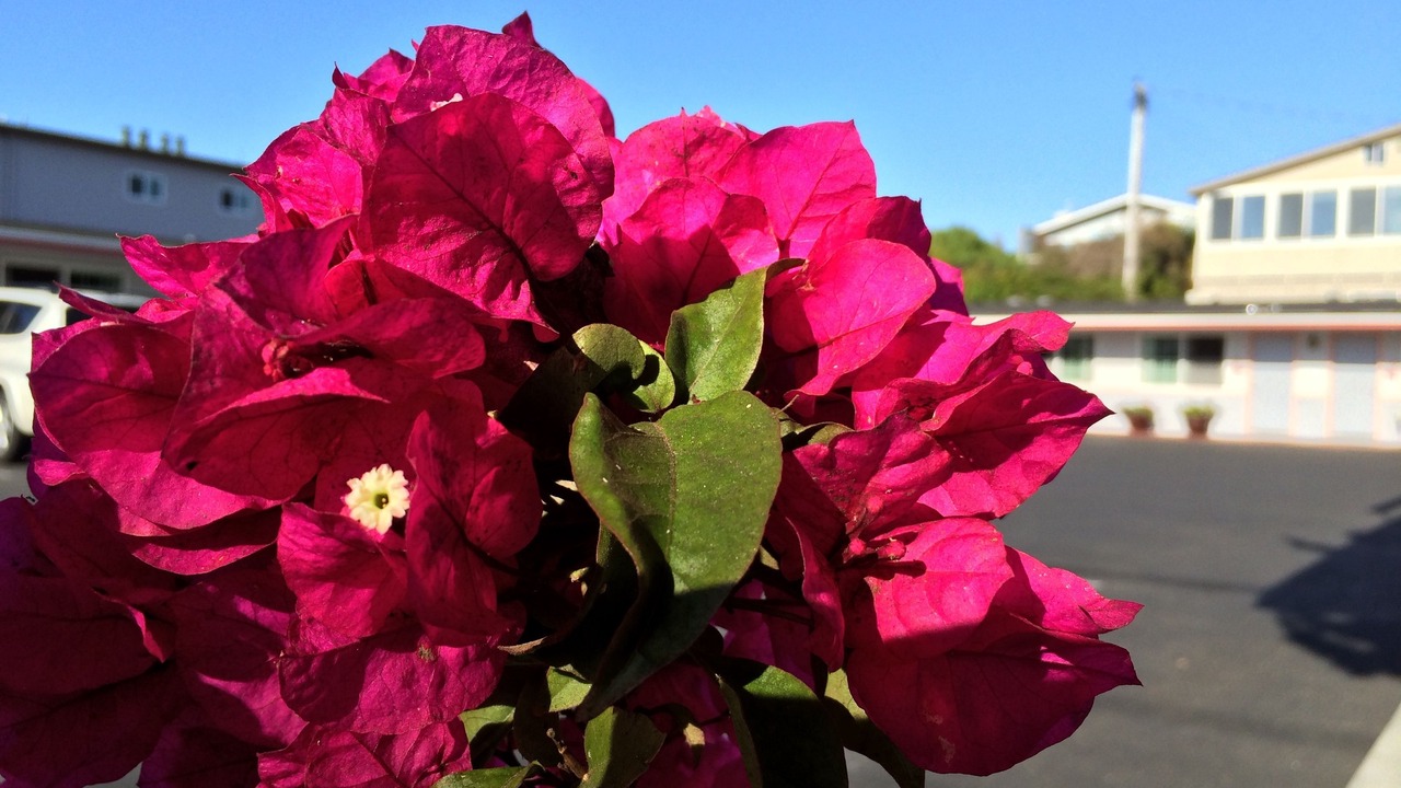 Photo of Outdoor in Morro Bay
