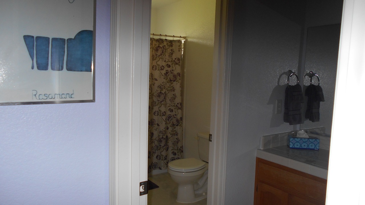 Photo of Bathroom in Squaw Valley