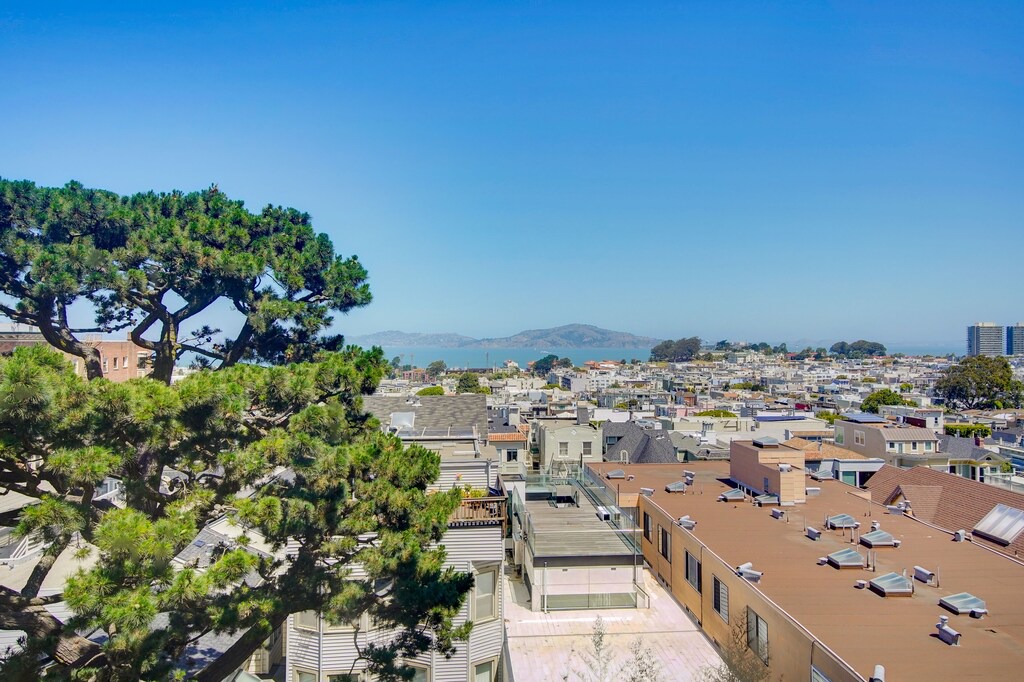 Photo of Others in Pacific Heights