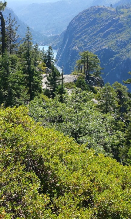 Photo of Outdoor in Strawberry