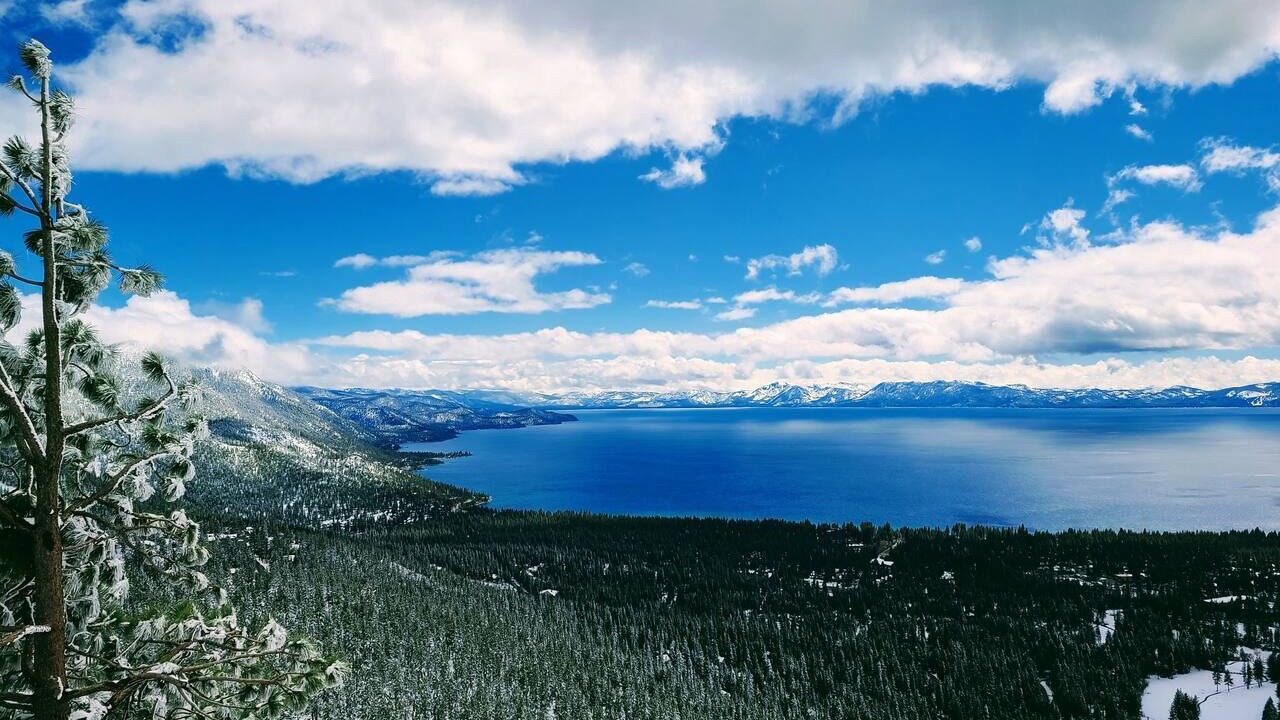 Photo of Others in Incline Village