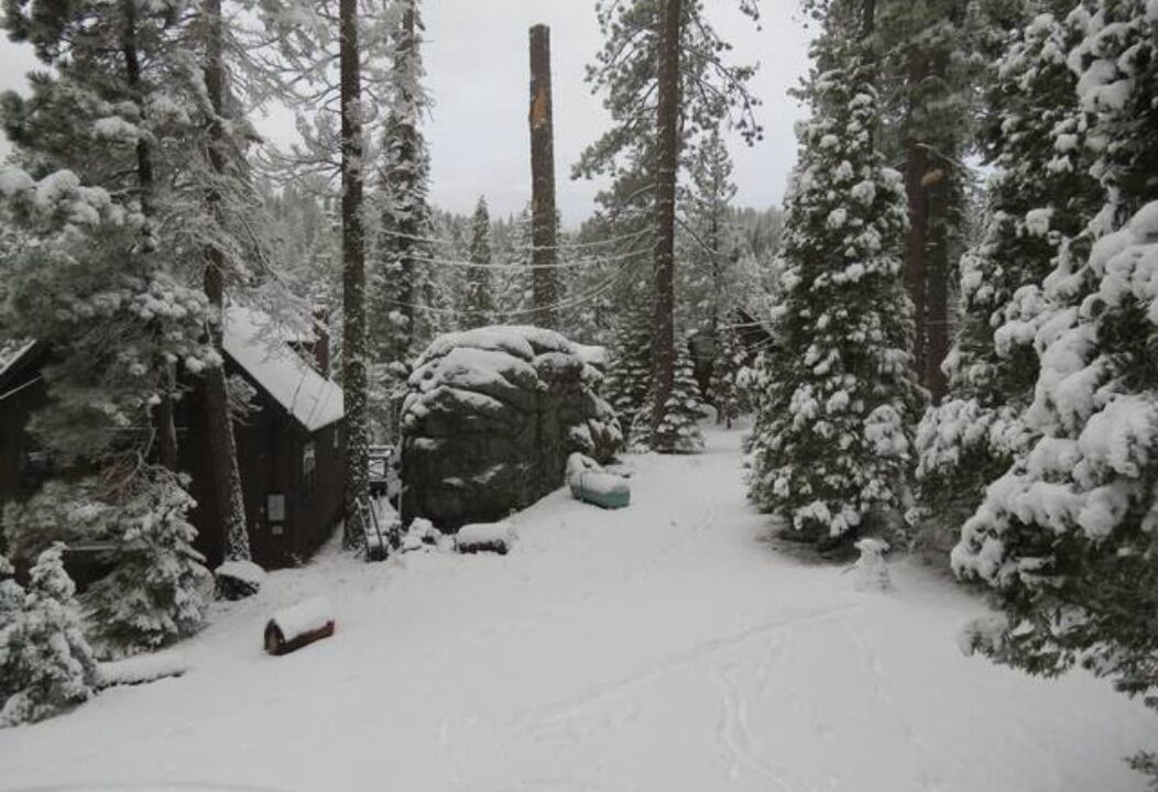 Photo of Outdoor in Strawberry
