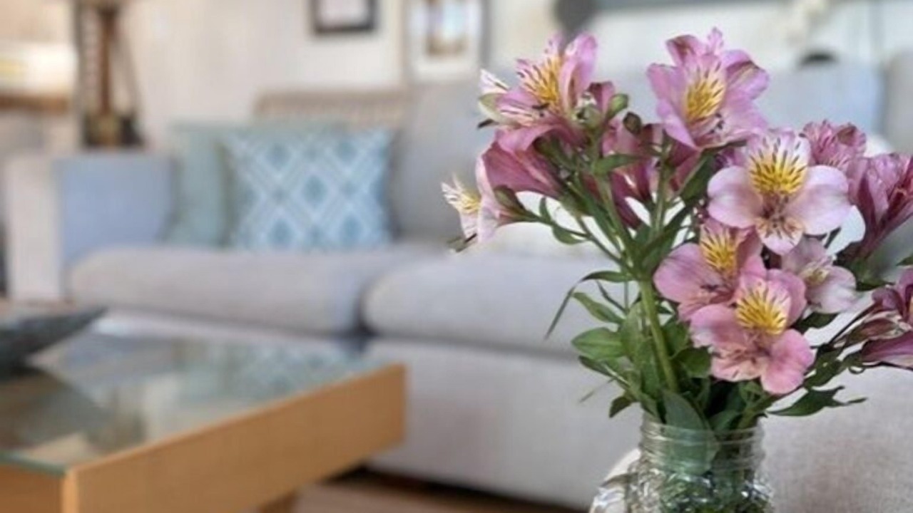Photo of Livingroom in Aptos