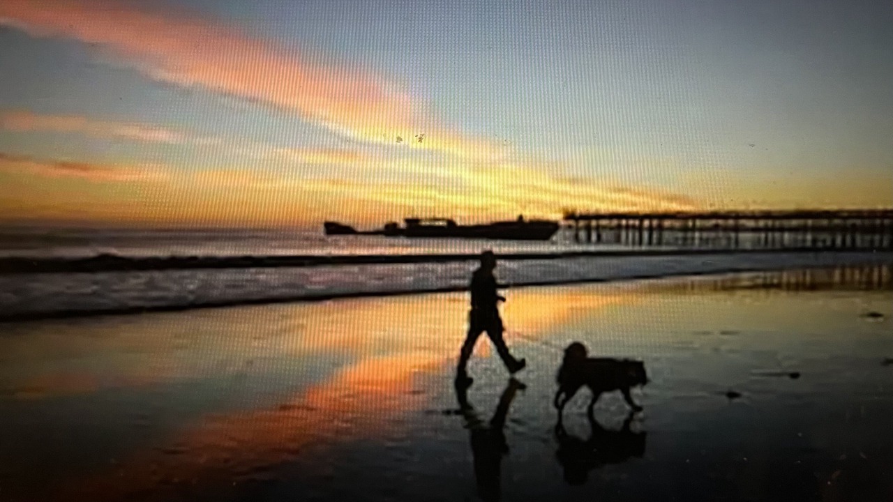 Photo of Others in Aptos