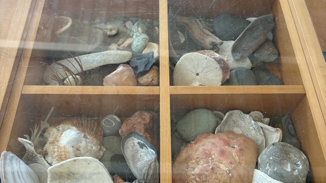 Photo of Others in Aptos