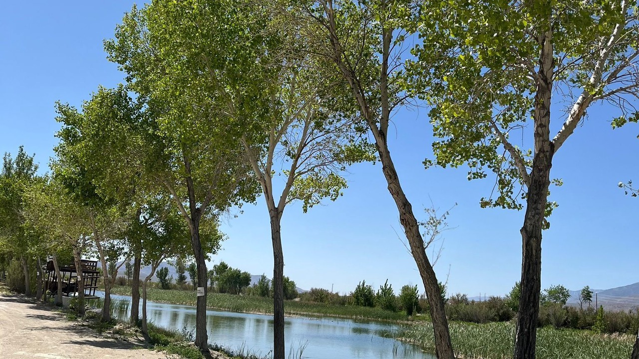 Photo of Others in Olancha