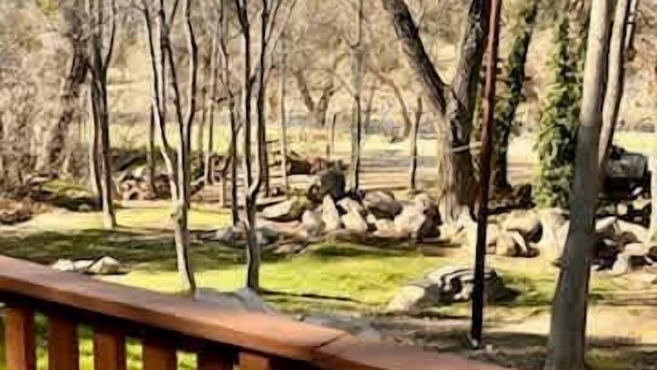 Photo of Outdoor in Kernville