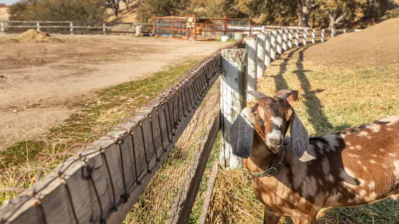 Photo of Others in Paso Robles
