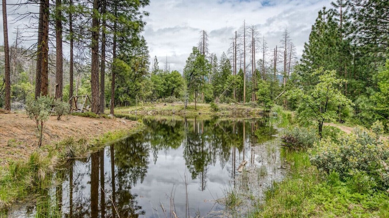 Photo of Outdoor in North Fork