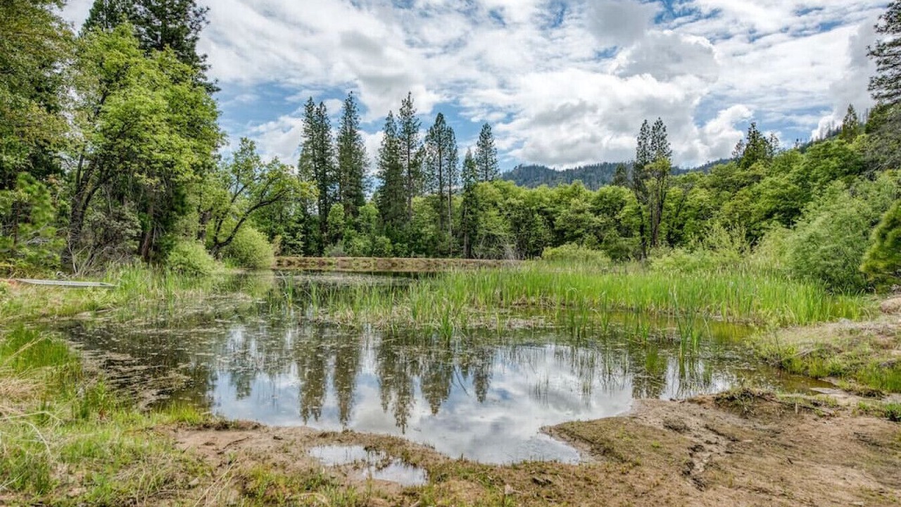Photo of Outdoor in North Fork