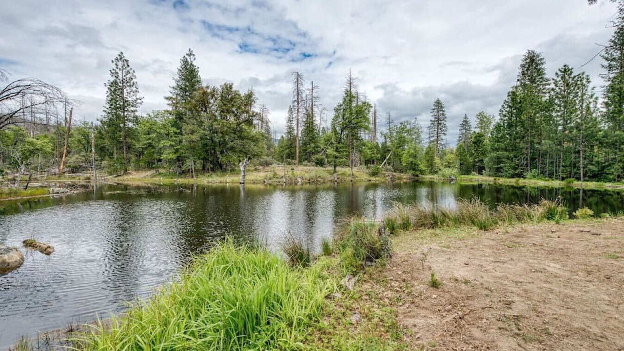 Photo of Outdoor in North Fork