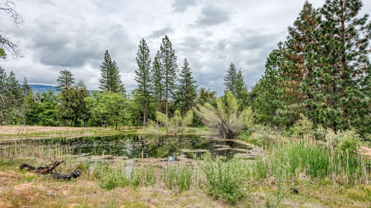 Photo of Outdoor in North Fork