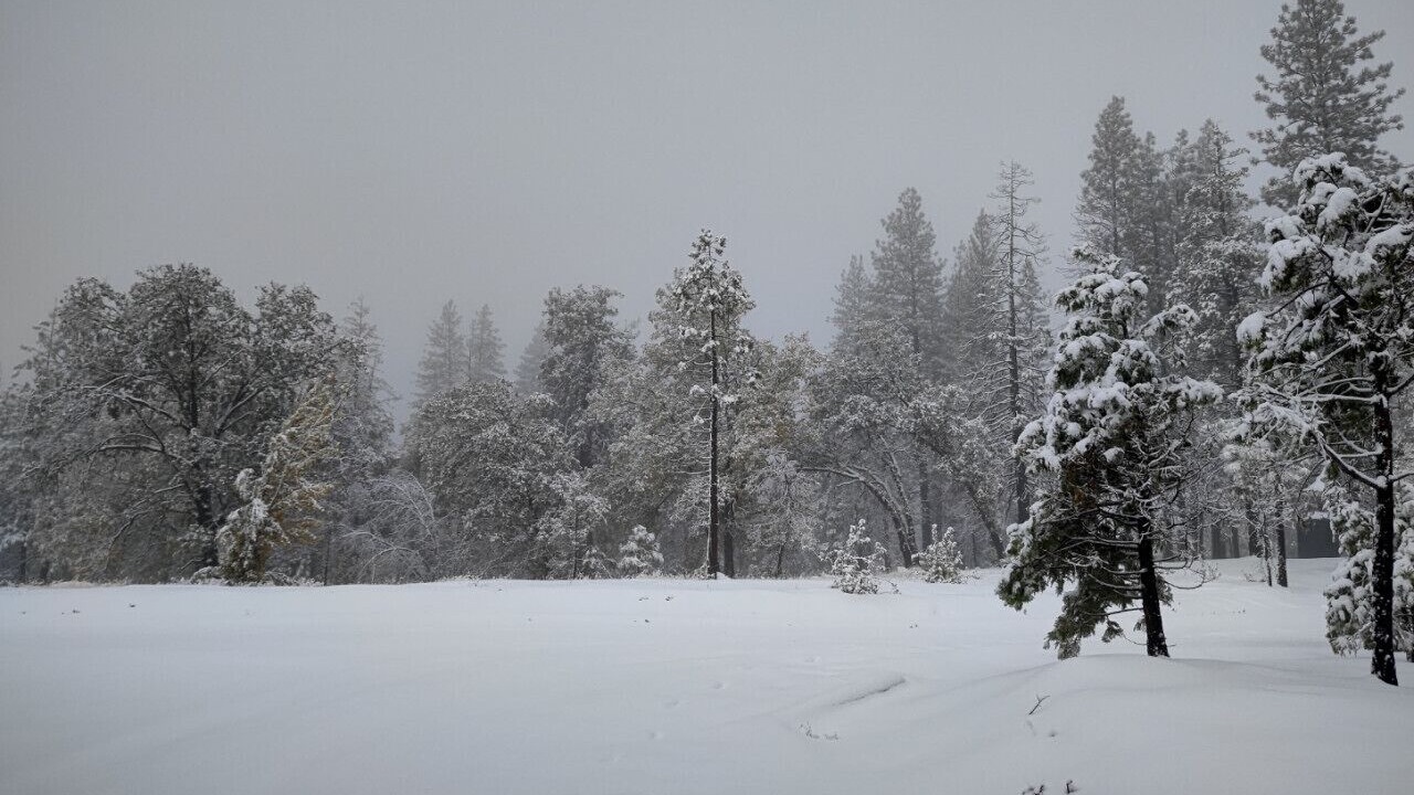 Photo of Others in North Fork
