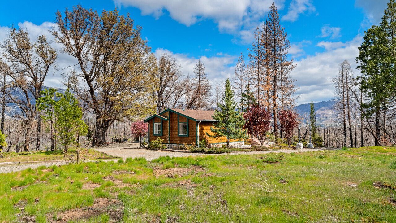 Photo of Outdoor in North Fork