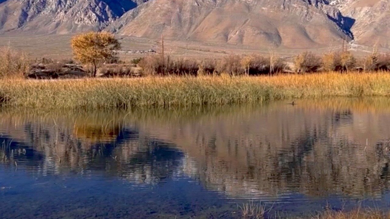Photo of Outdoor in Olancha