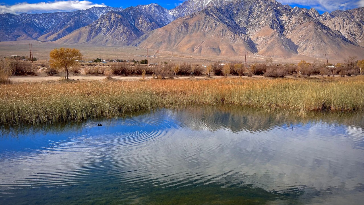 Photo of Others in Olancha
