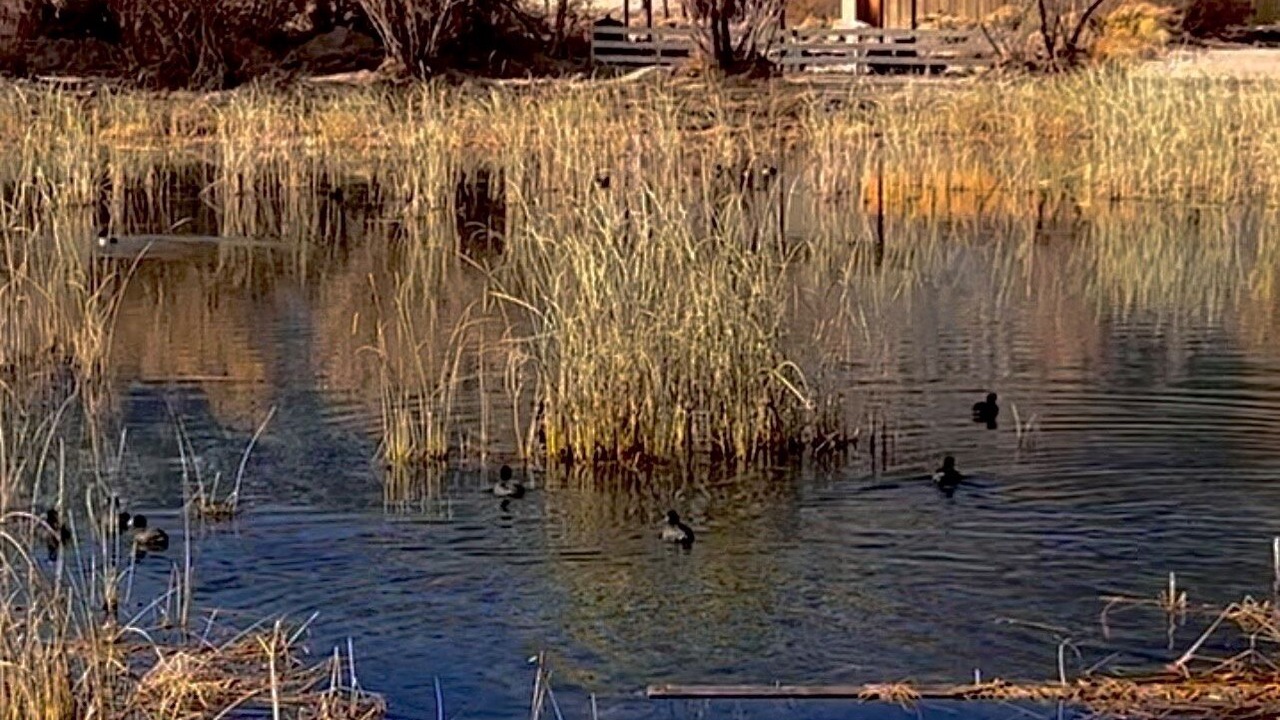Photo of Outdoor in Olancha