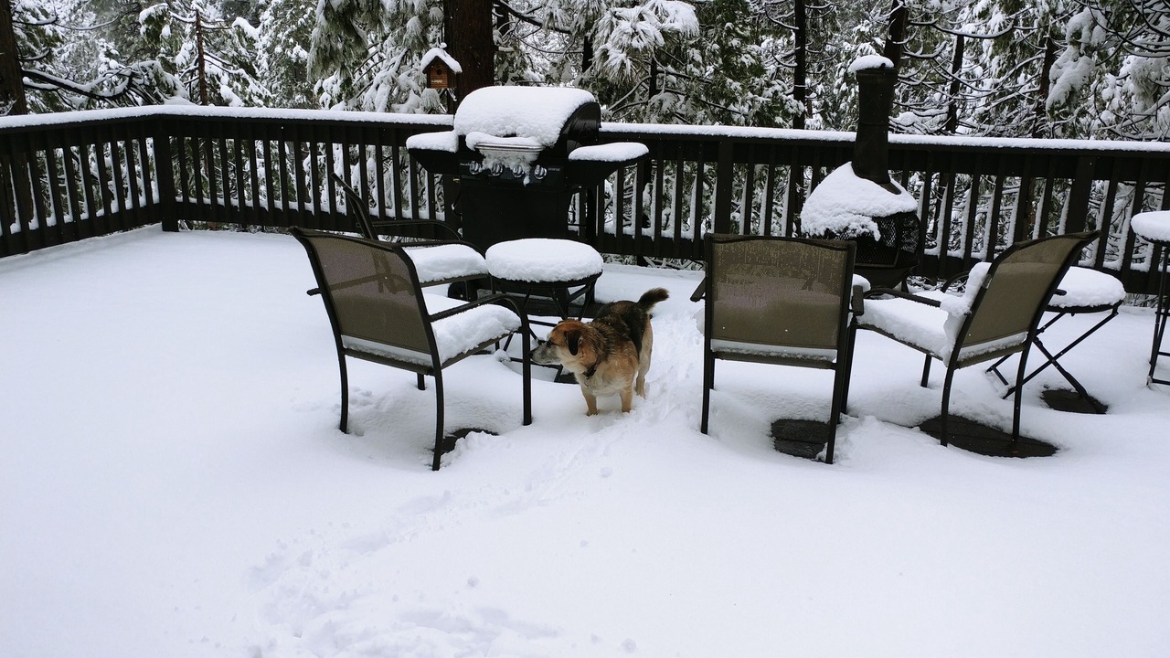 Photo of Outdoor in Cold Springs