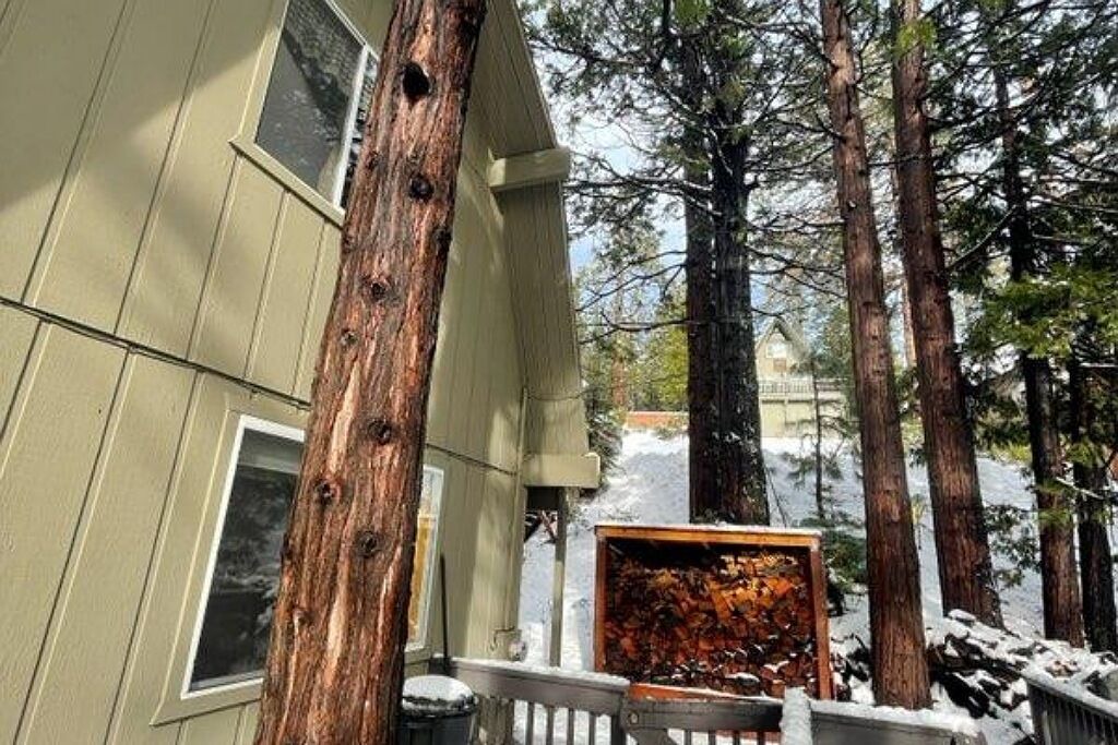 Photo of Outdoor in Cold Springs