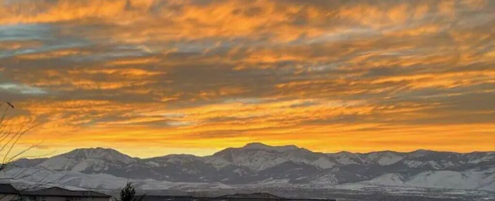 Photo of Others in Reno
