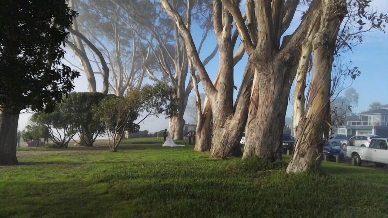 Photo of Others in La Selva Beach