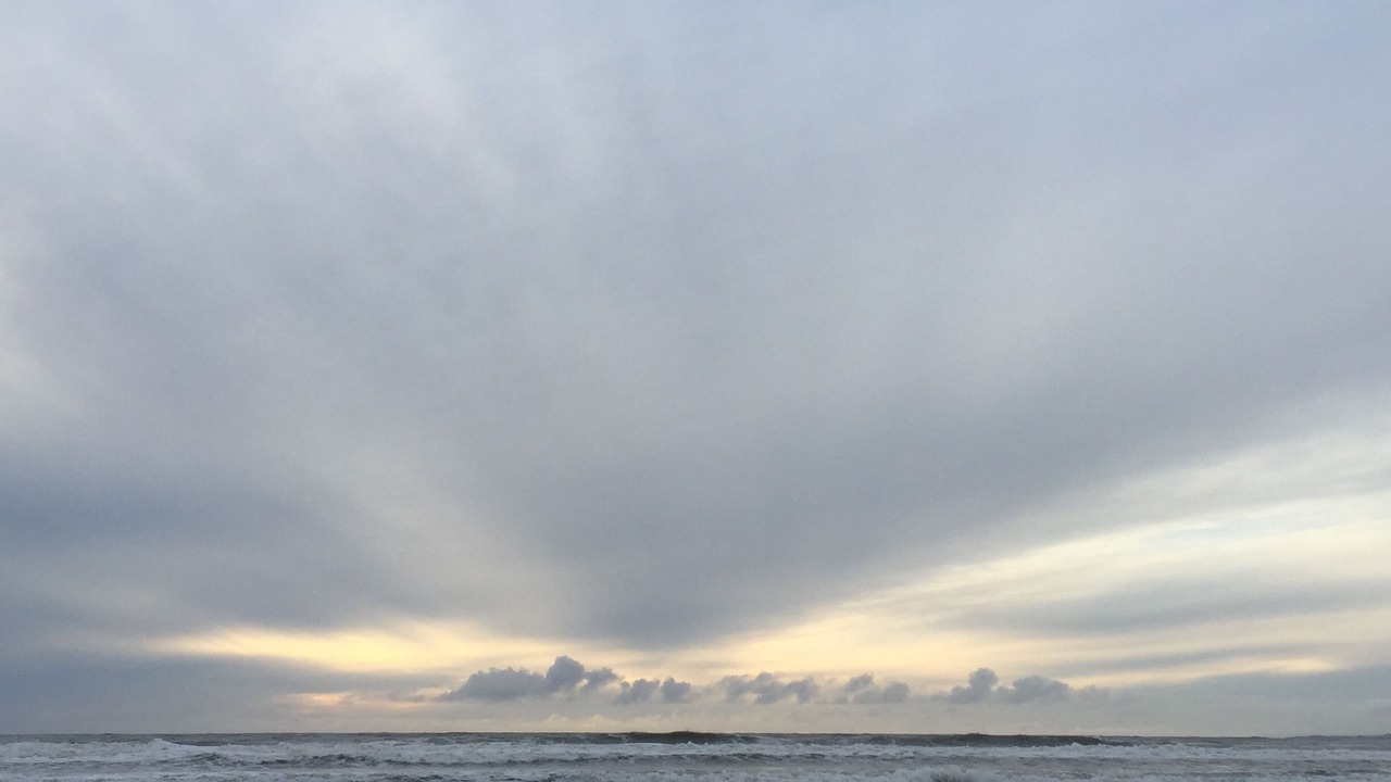 Photo of Others in La Selva Beach