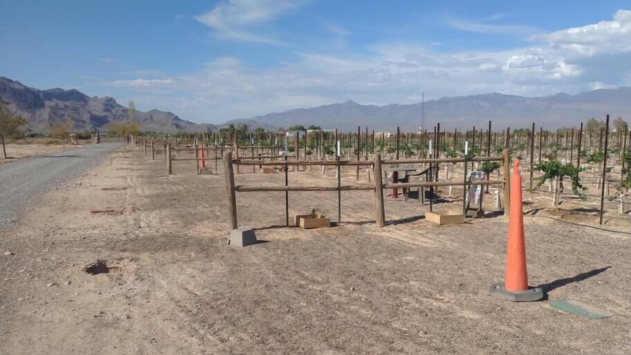 Photo of Others in Pahrump