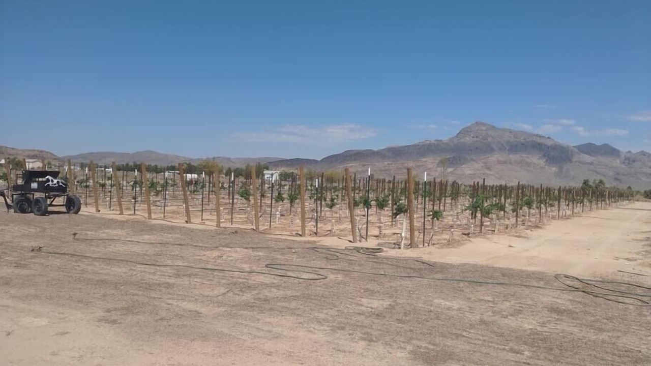 Photo of Outdoor in Pahrump