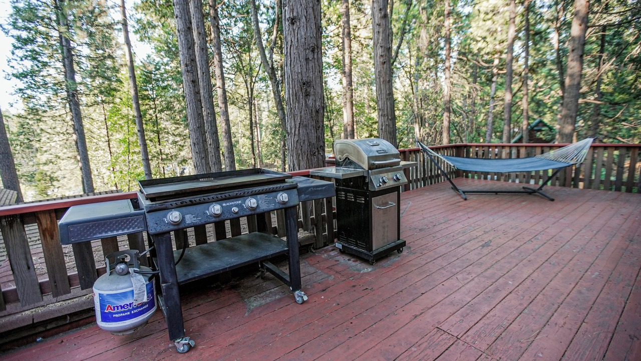 Photo of Outdoor in Twain Harte