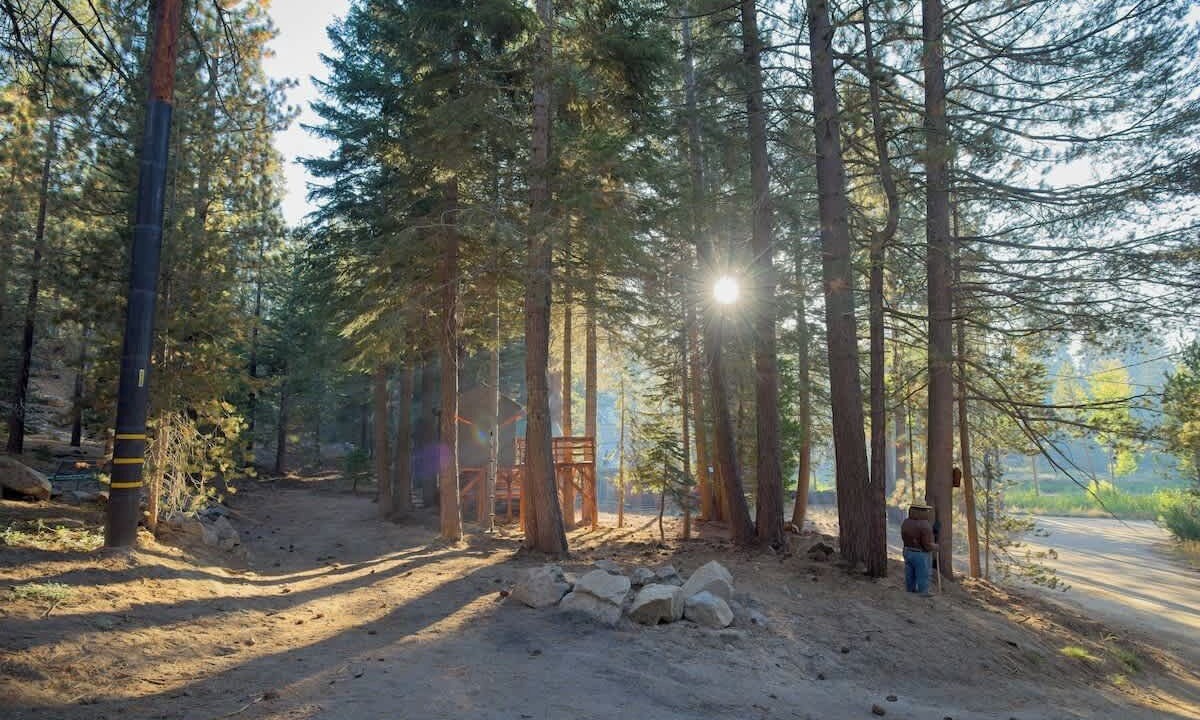Photo of Others in Ponderosa