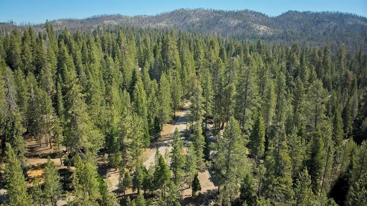 Photo of Others in Ponderosa