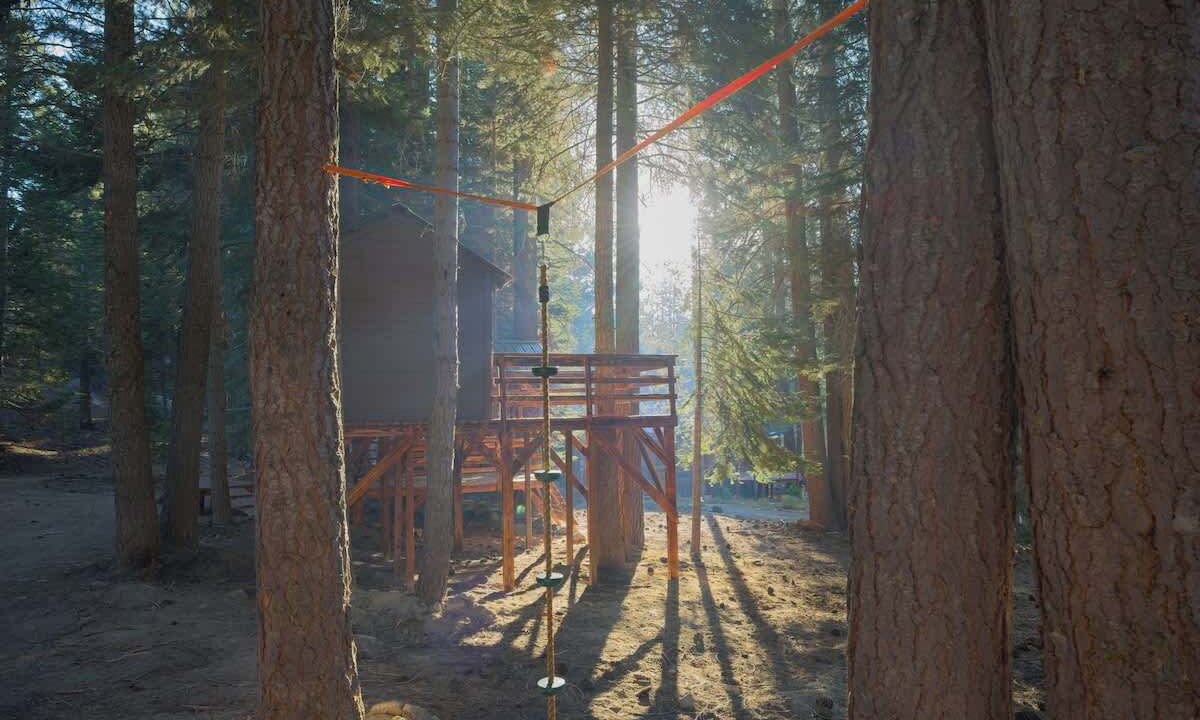 Photo of Others in Ponderosa