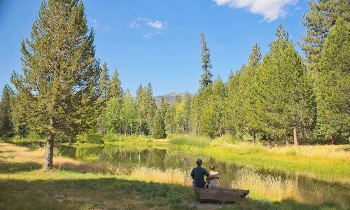 Photo of Others in Ponderosa