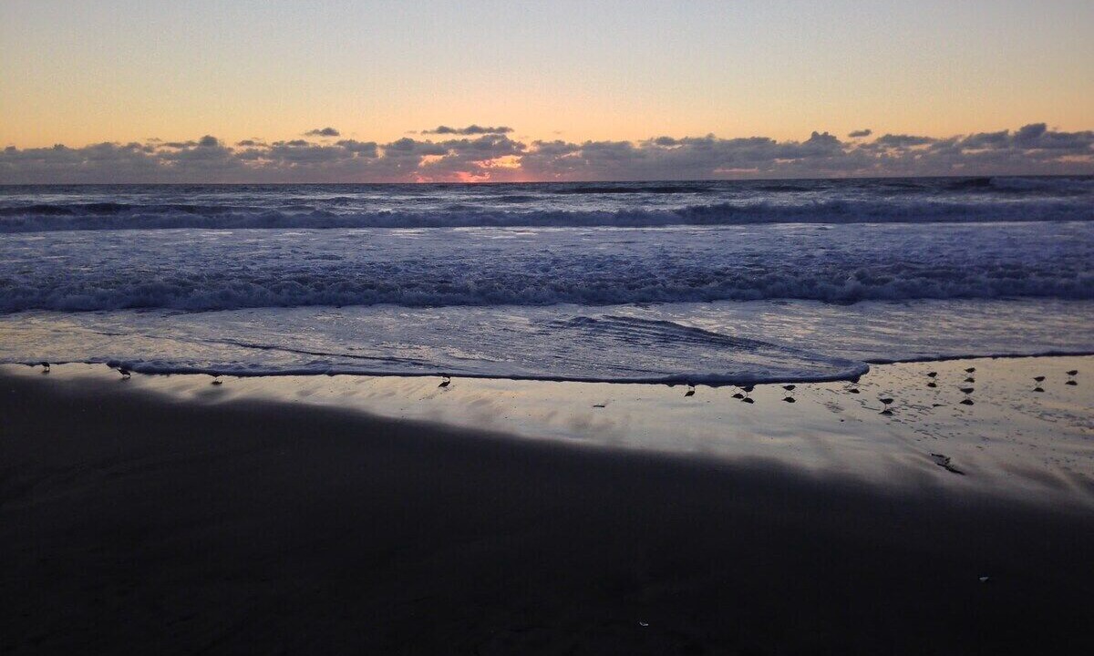 Photo of Others in La Selva Beach