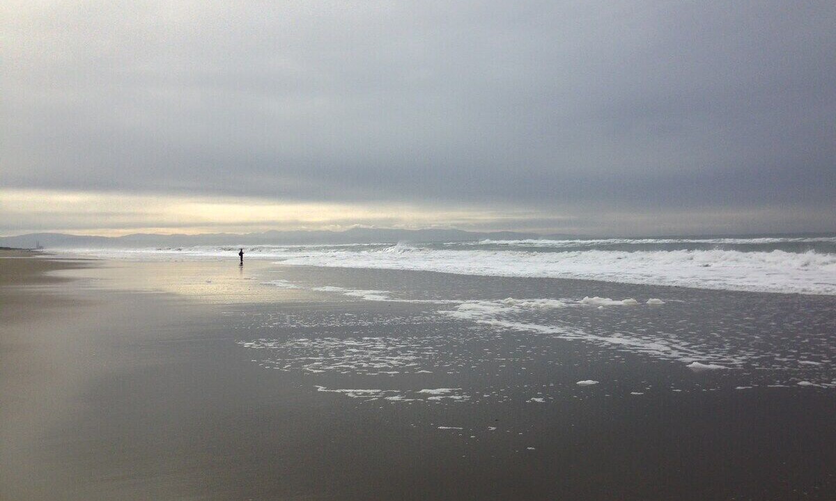 Photo of Others in La Selva Beach