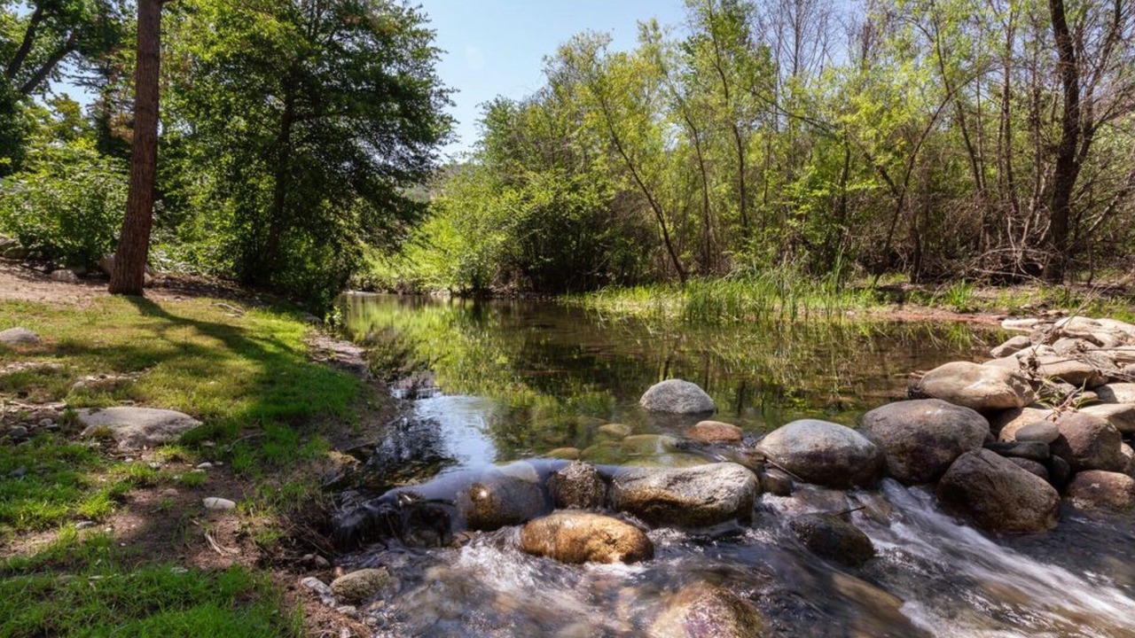 Photo of Others in Three Rivers