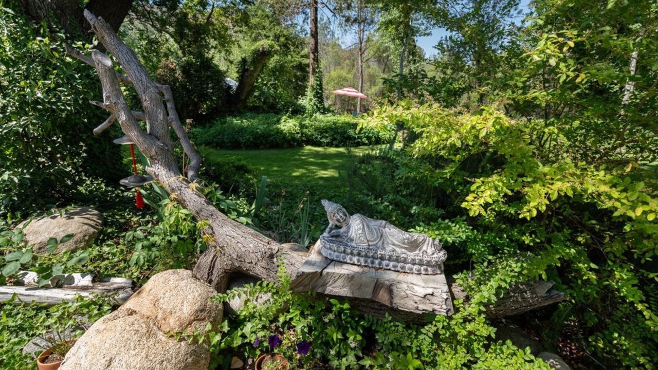 Photo of Outdoor in Three Rivers