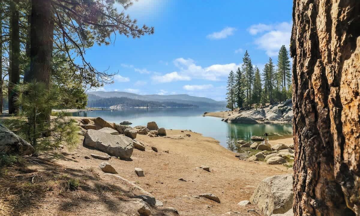 Photo of Others in Shaver Lake